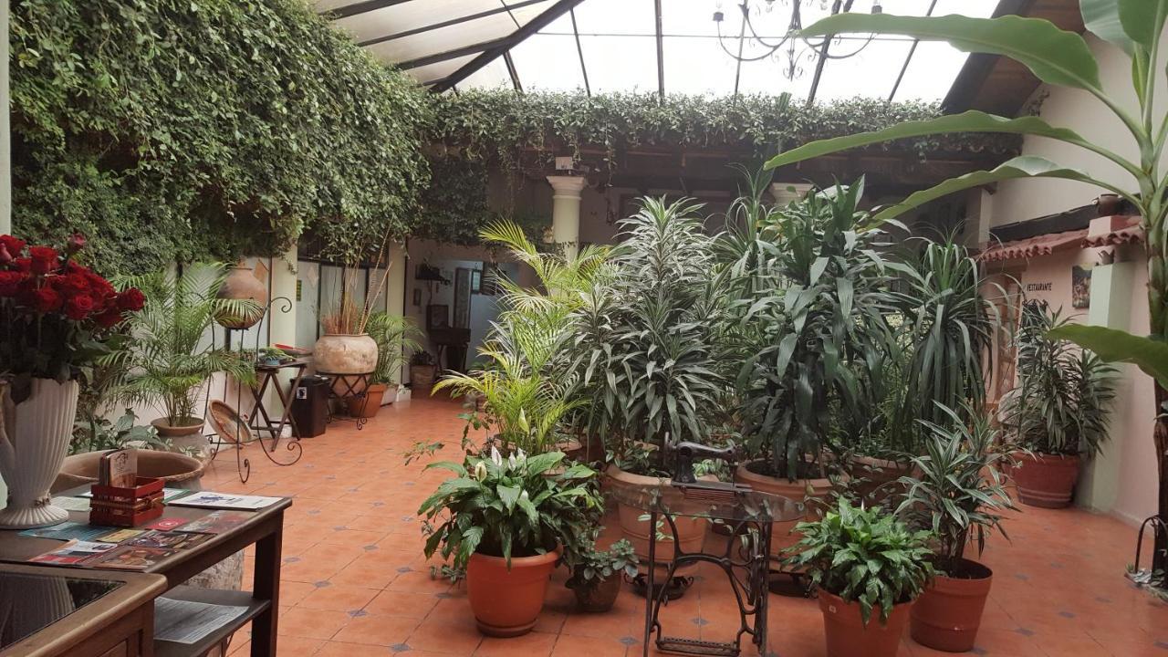 Hotel San Luis San Cristobal de las Casas Exterior photo